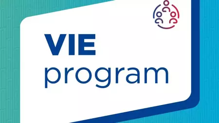 Saint-Gobain VIE Program