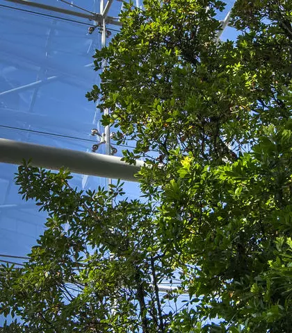 sustainability